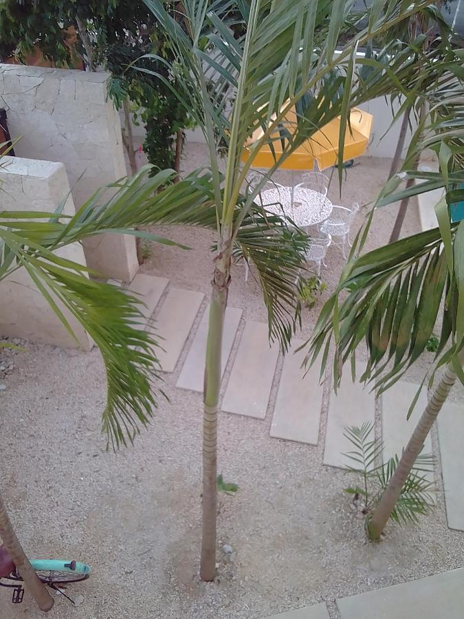 Posada Tumben Ka'A Тулум Экстерьер фото